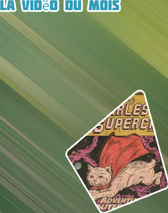 Dernières nouvelles du supercat