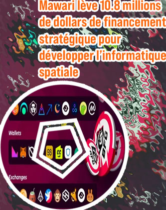 Informations clés betfury