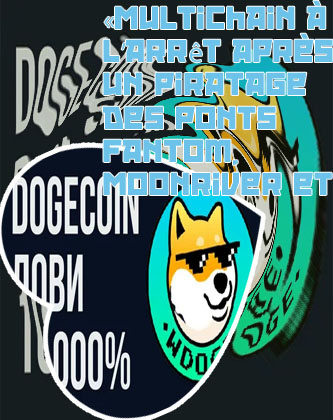 Nouvelles dogechain